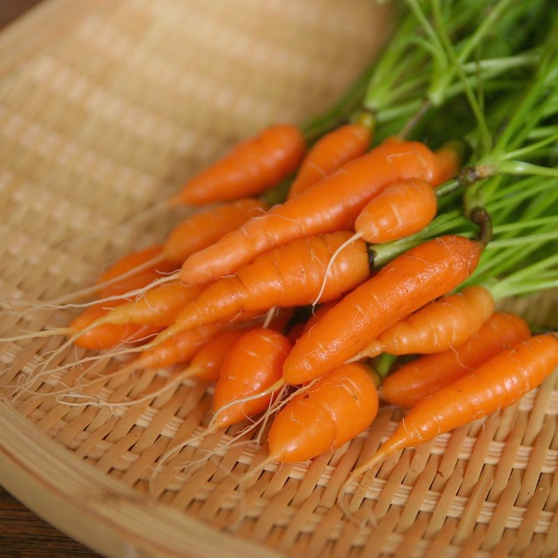 Baby carrots grow very quickly and can be harvested continually