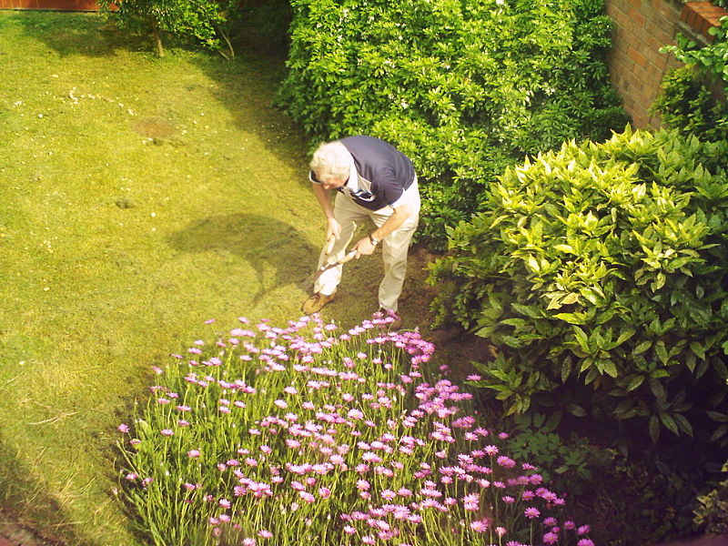 Regular gardening has been shown to prolong life expectancy