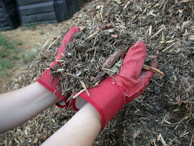 Compost keep a garden pumping