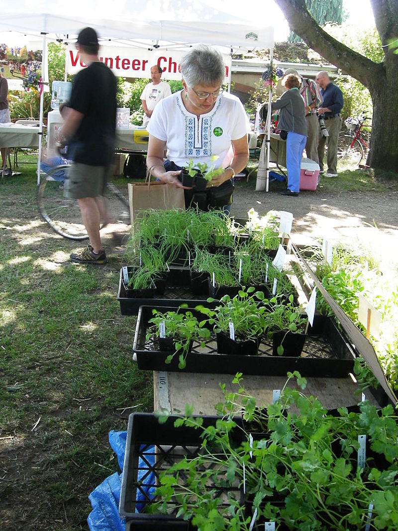 Many women spend hours and hours gardening which stops them being inactive, which can shorten life expectancy. 