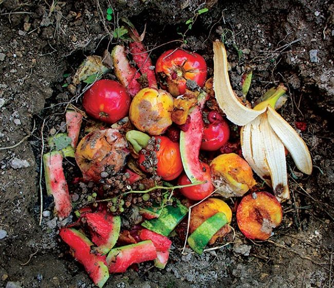 Composting in a hole is the simplest way to re-cycle your scraps and dry organic waste