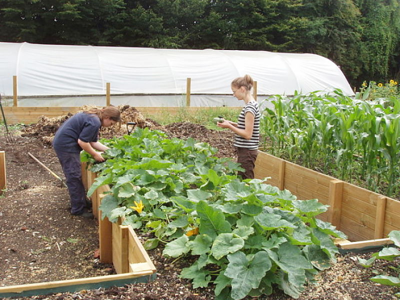 High raised beds are fabulous for easy access. They require a lot of new soil, mulch, but you can increase the height in stages by adding new boards.