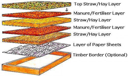 Use paper, straw bales or loose straw and organic fertiliser to develop in-situ compost for your garden