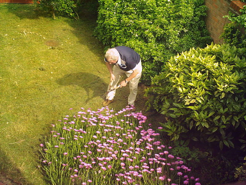 Regular gardening has been shown to prolong life expectancy 
