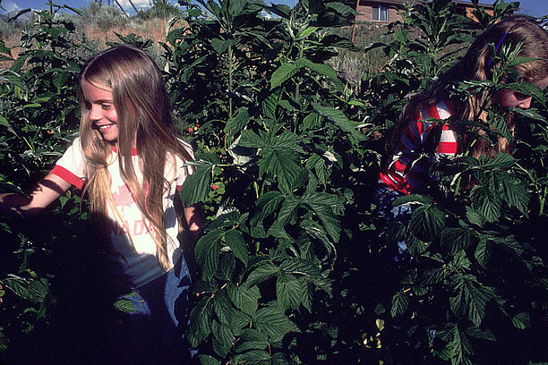 Children love gardening as well, and love their grandparent's garden