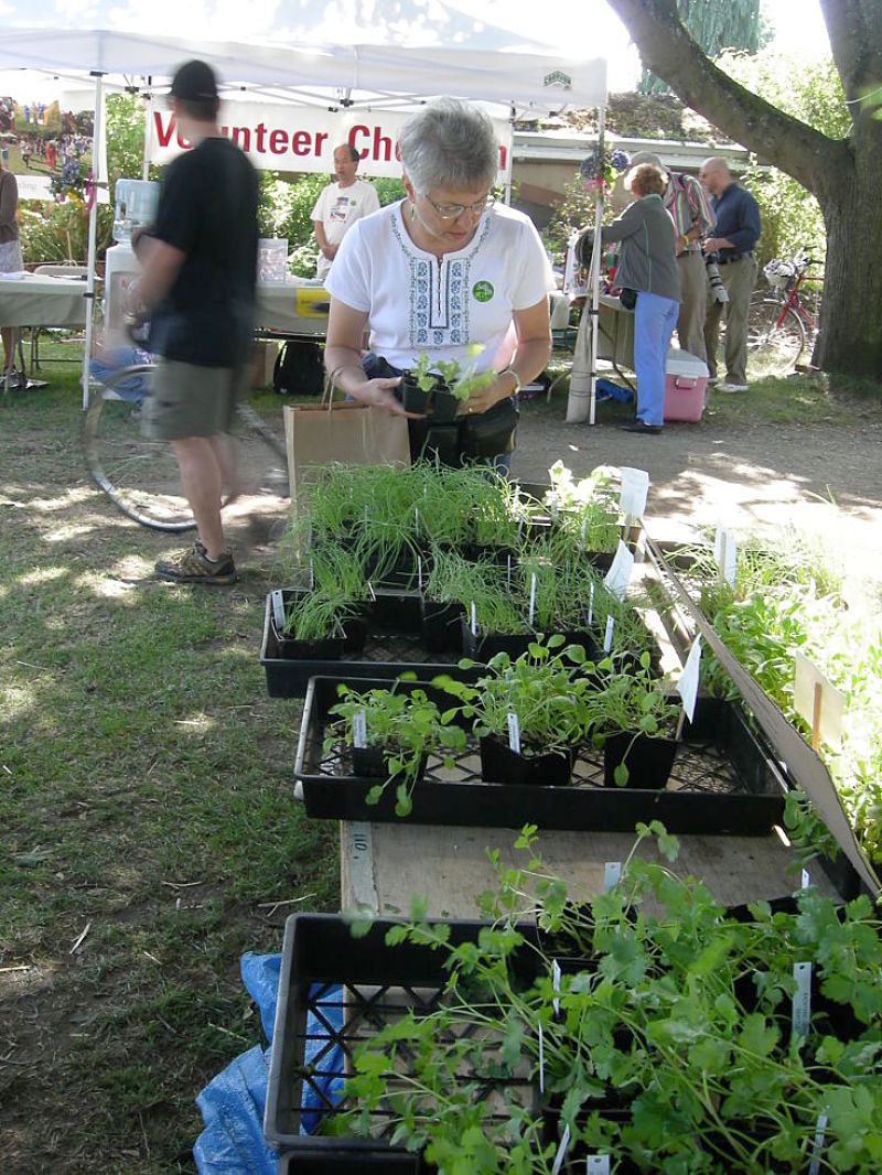 Many older people spend hours and hours gardening, which stops them being inactive and give them a sense of purpose. Gardening can prolong life and improve the enjoyment of life.