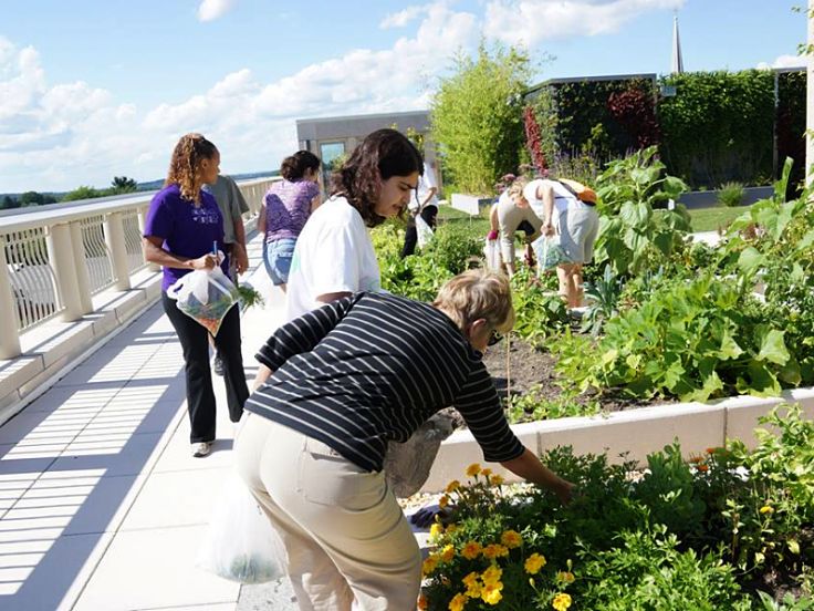 Rooftop community gardens have many social benefits and promote community interaction and the spirit of working together
