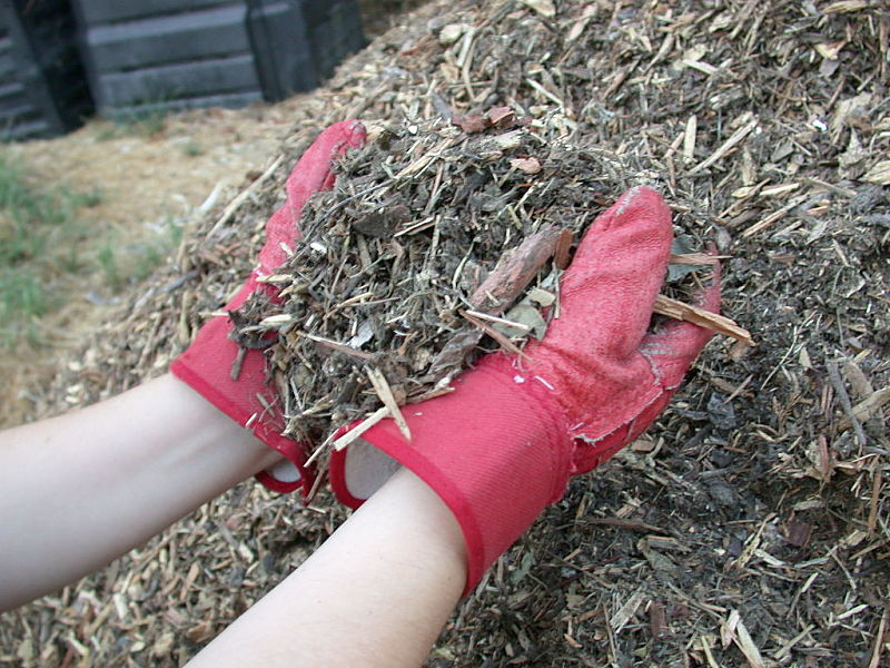 Mulch is a fabulous way to control weeds organically