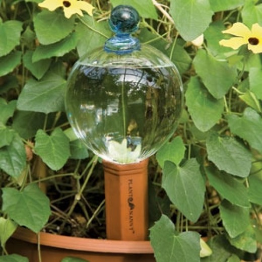 Glass reservoirs are available with terracotta spouts that slowly release water into the soil