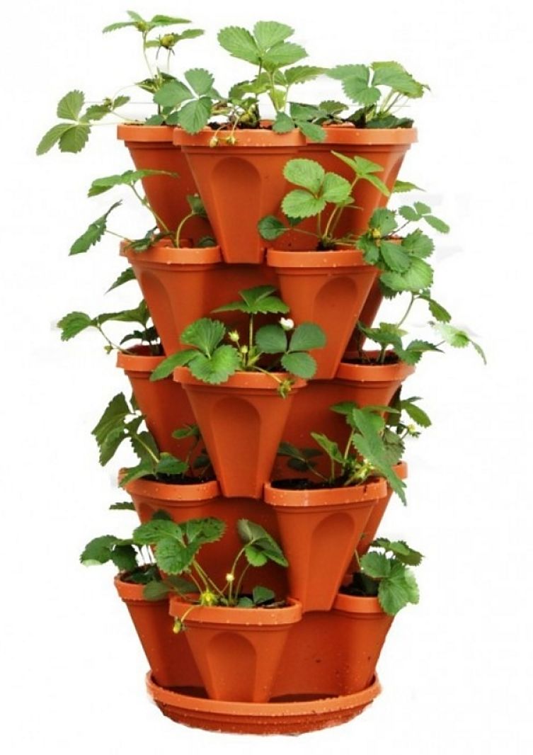 Vertical pot systems can be free-standing or designed to sit against a wall. Many have one watering point, making them easy to maintain
