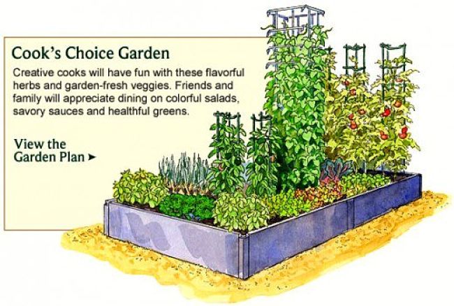 Cook's choice garden layout