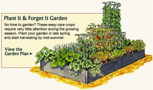The permaculture style vegetable garden design for continuous yield over a long time