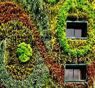 Vertical gardens can create a design feature on a wall - very attractive!