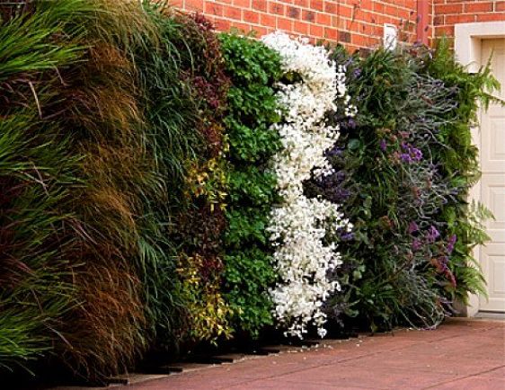 Vertical gardens can be a work of art