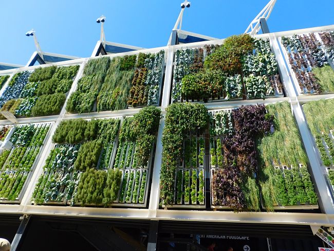 Very large vertical gardens can be used for decorative purposes