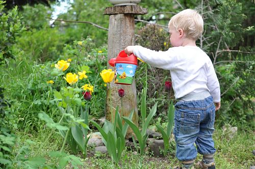 The best time to water plants when a hot day is forecast is in the early morning or late afternoon